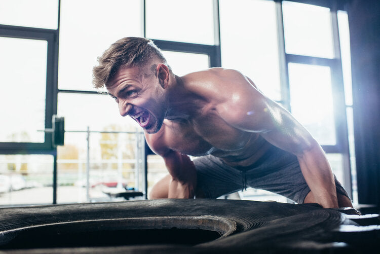 Study Examines the Effects of Herbs on Testosterone