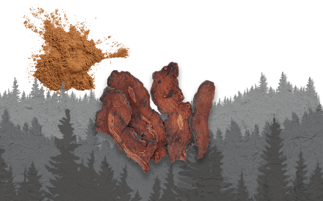 Benefits of He Shou Wu (Fo-Ti) - Uses, Side Effects, and More