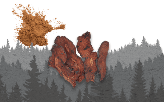 Benefits of He Shou Wu (Fo-Ti) - Uses, Side Effects, and More