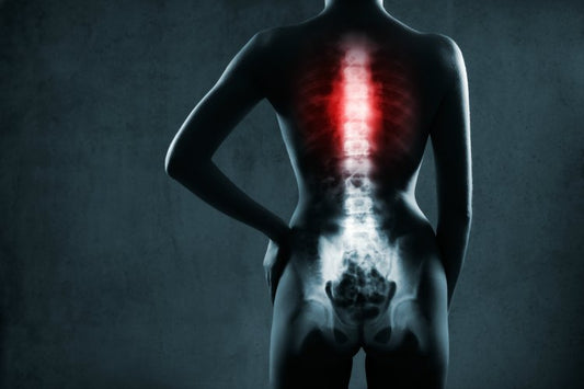 Spine Exercises