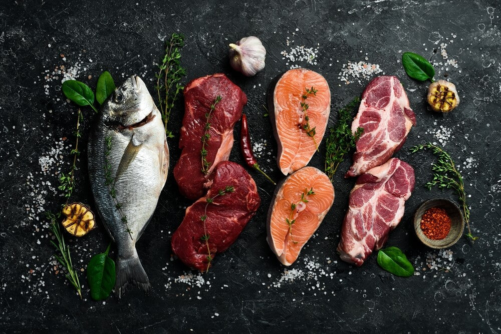 What is the difference between the carnivore diet and animal-based diet?