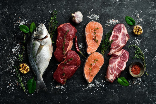 What is the difference between the carnivore diet and animal-based diet?