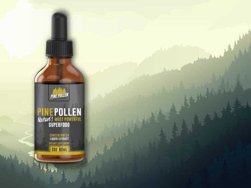 Pine Pollen Tincture vs Powder