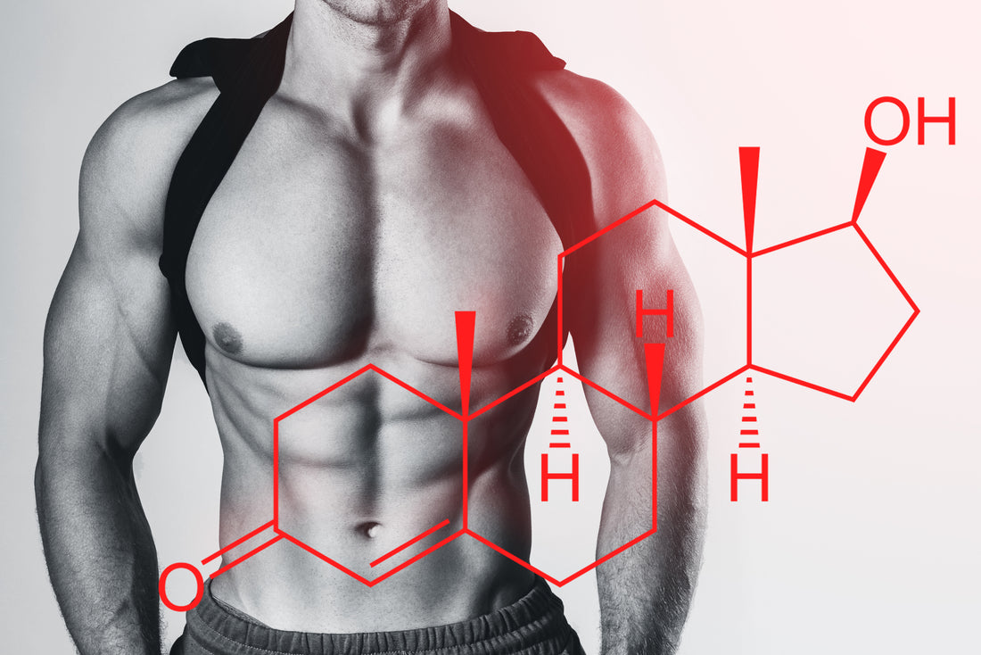High Cholesterol and Low Testosterone - Are they connected?