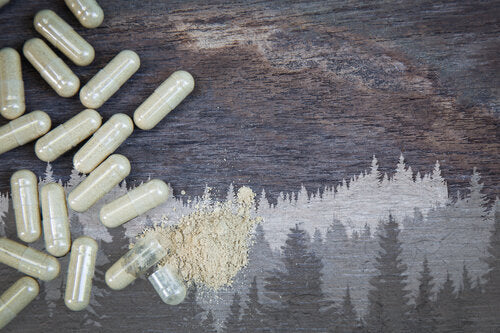 How To Select The Best Pine Pollen Dosage