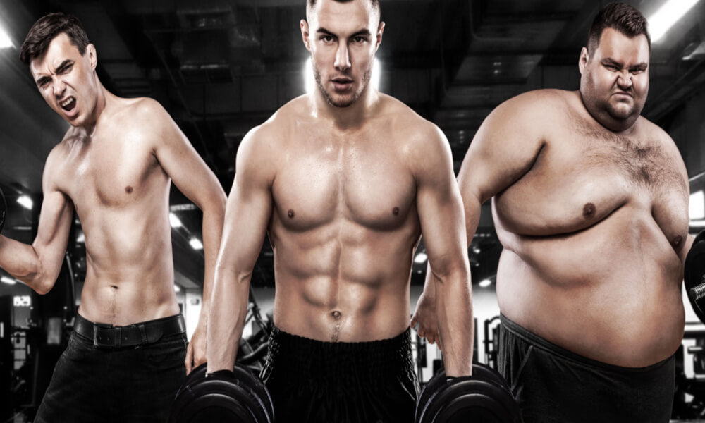 Fitness training tips for each body type - mesomorph, endomorph, ectomorph
