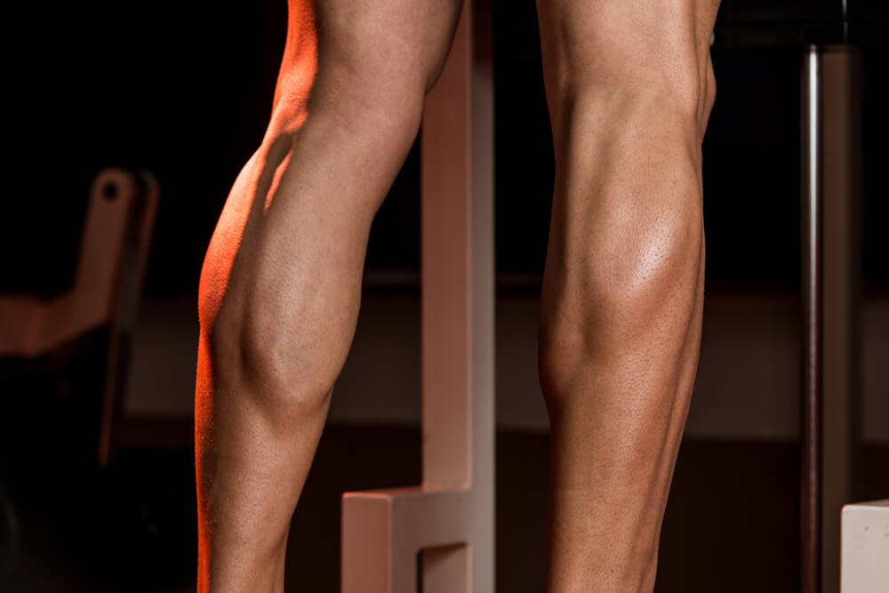 The Ultimate Guide to Calf Muscles: Best Exercises for Each Calf Muscle