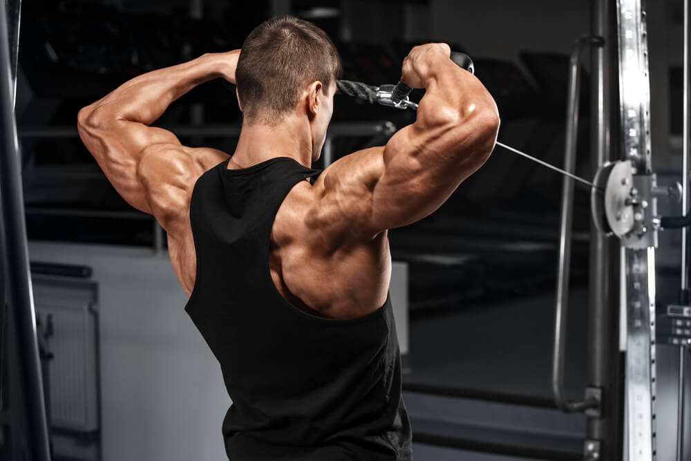 The Best Rear Delt Exercises and Workouts