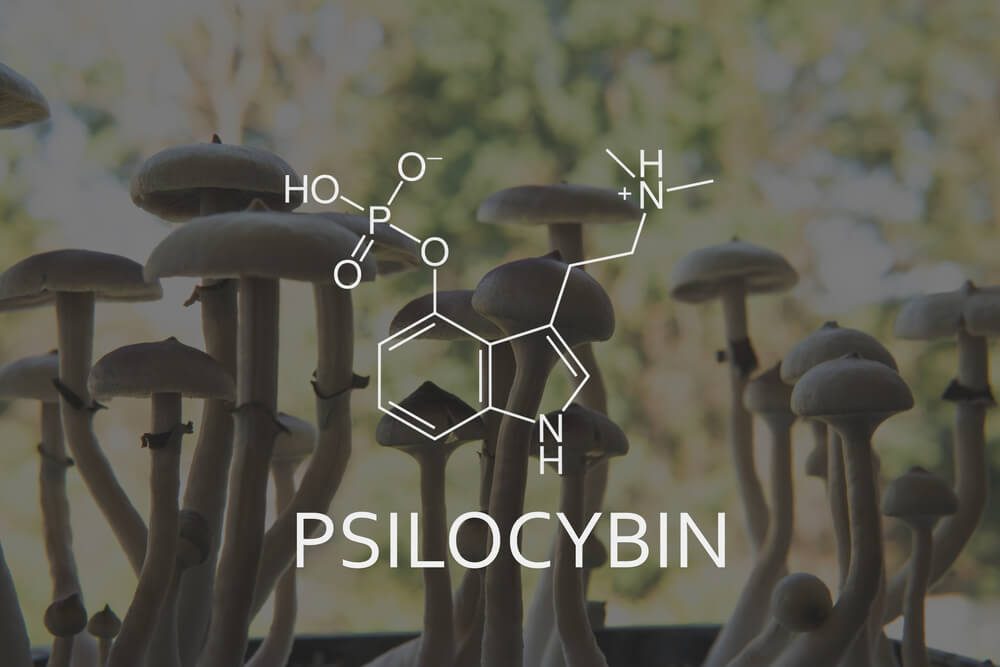 Psilocybin and Its Potential Role in Mental Health Treatment