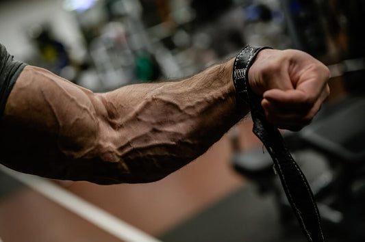 The Most Neglected Muscles and How to Train Them