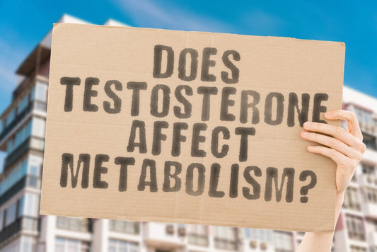 Is there an inverse relationship between body fat and testosterone?