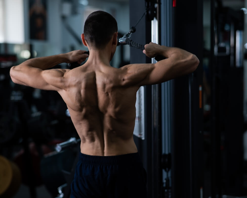 The Best Back Exercises for Size and Strength